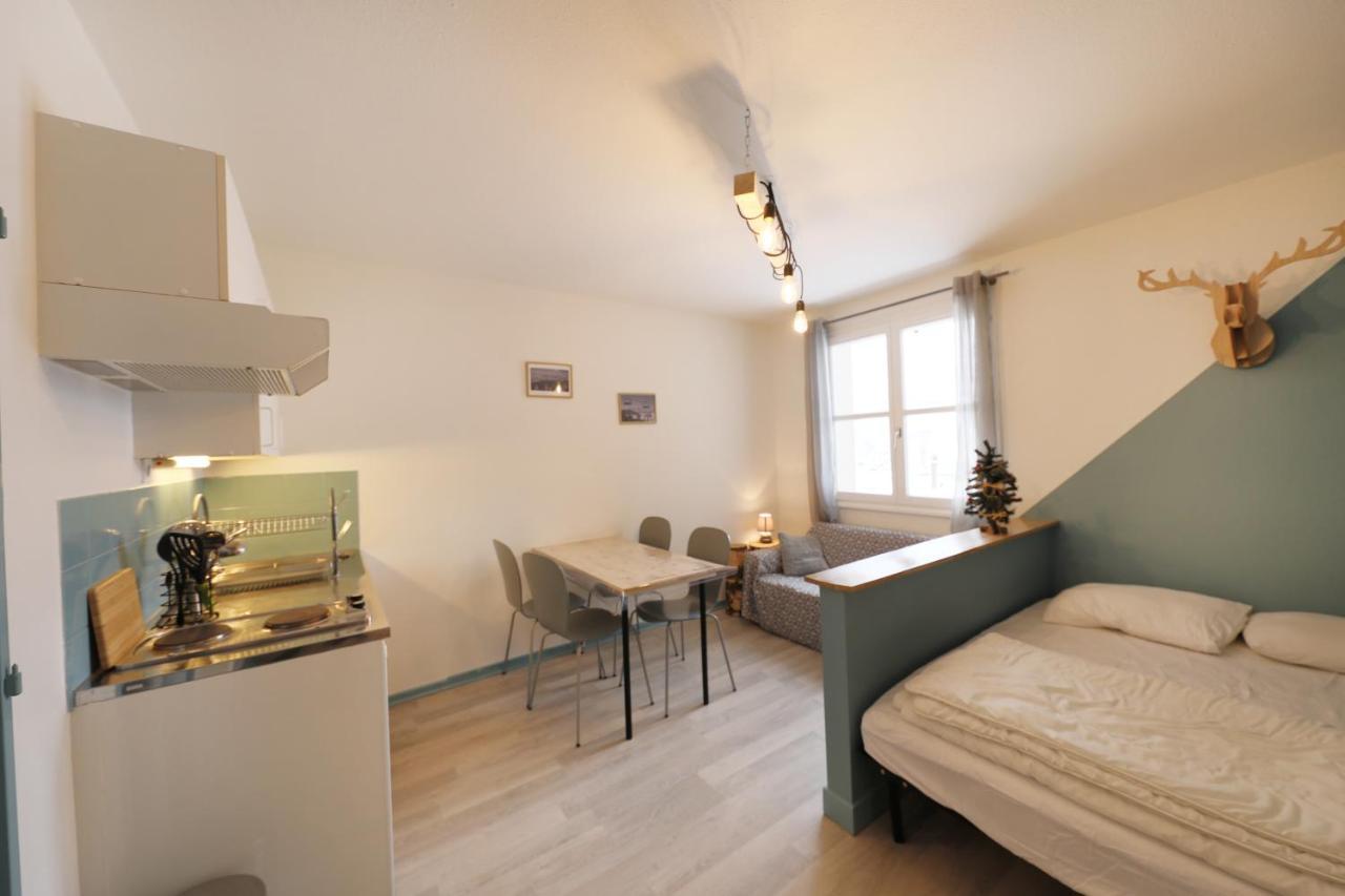 Studio Le Renne Bleu Hyper Centre ג'רארדמר מראה חיצוני תמונה